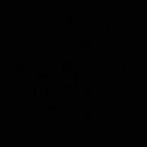 Meet your Posher, Jerrette